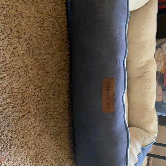 Slightly used dog bed for Medium to large dogs